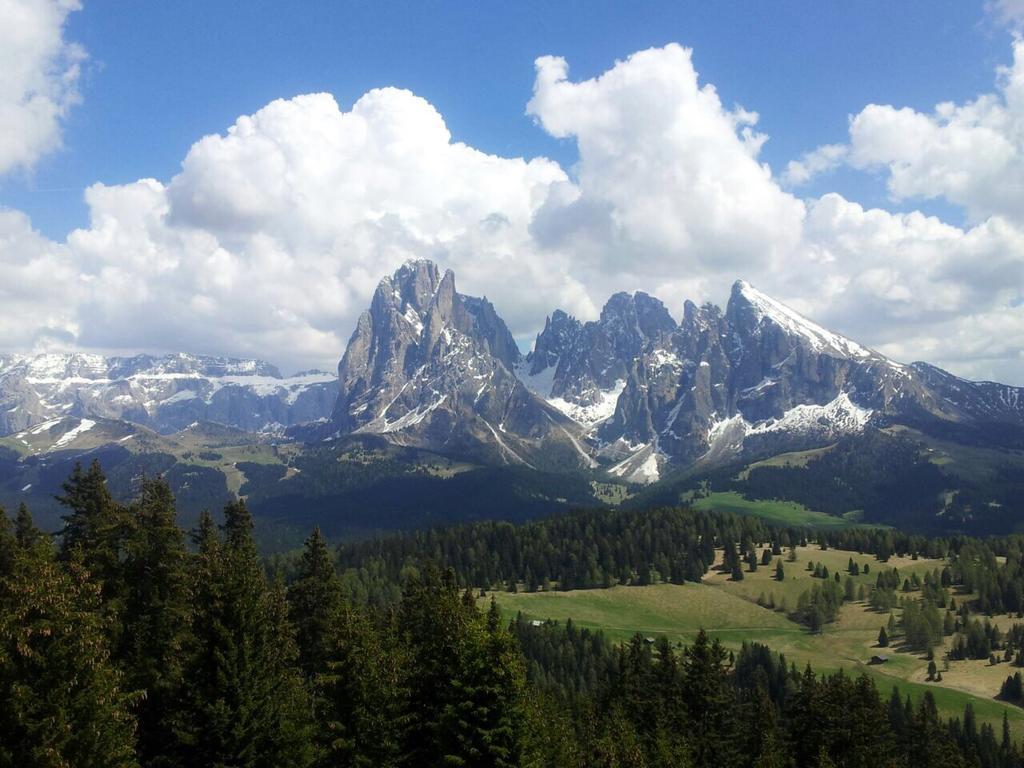 Garni Crepaz Bed & Breakfast Selva di Val Gardena Eksteriør bilde